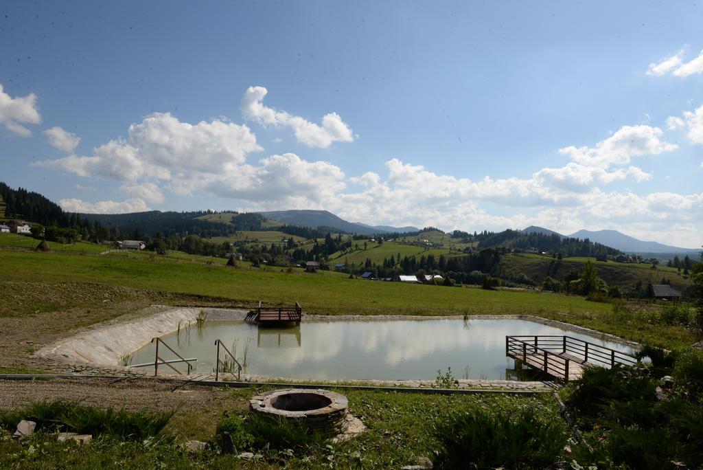 Pensiunea La Bella Vista Poiana Negrii Exterior photo